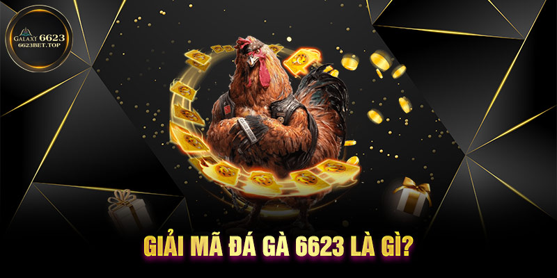 Giải mã đá gà 6623 là gì?
