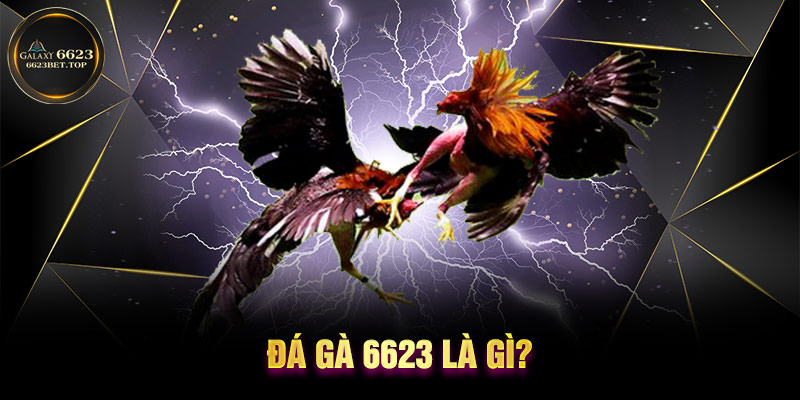 Lựa chọn chiến kê