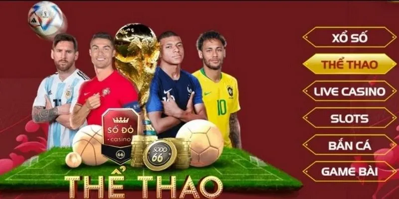 Sảnh thể thao nơi hội tụ đam mê và kịch tính của mọi trận đấu